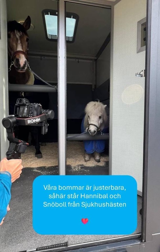 Clear Round StuteriRenault 170 hk automat