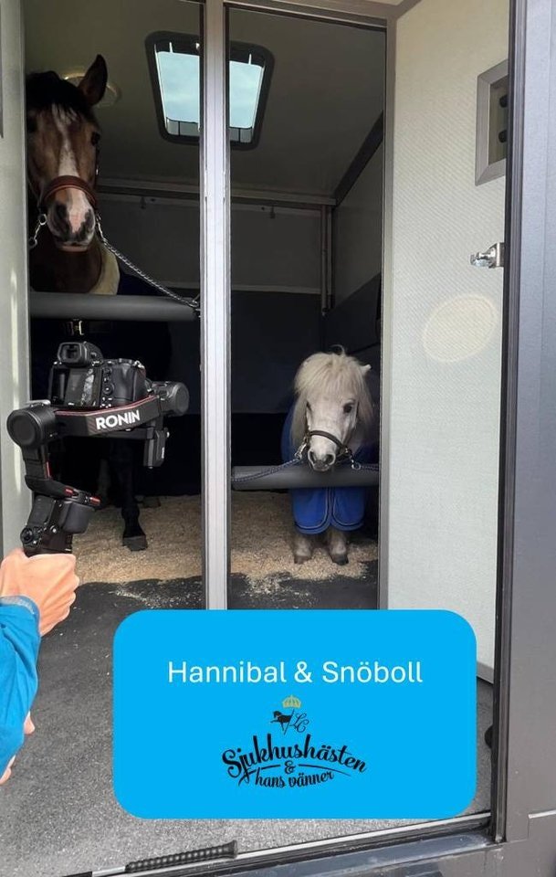 Clear Round Stuteri (BTP75U)