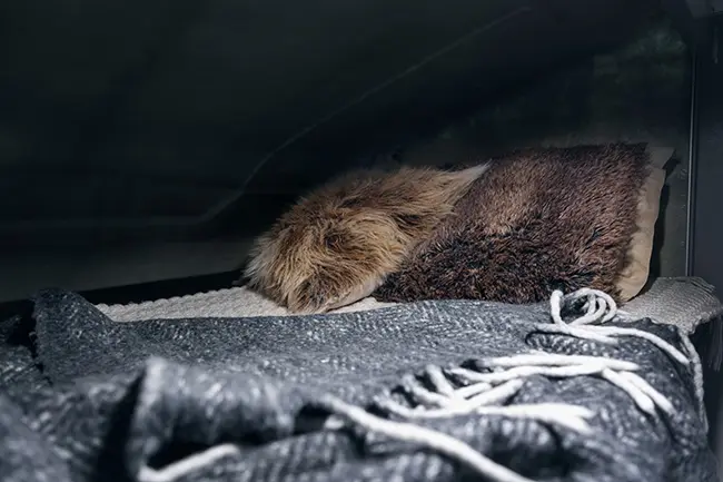 Lastutrymme över förardelen